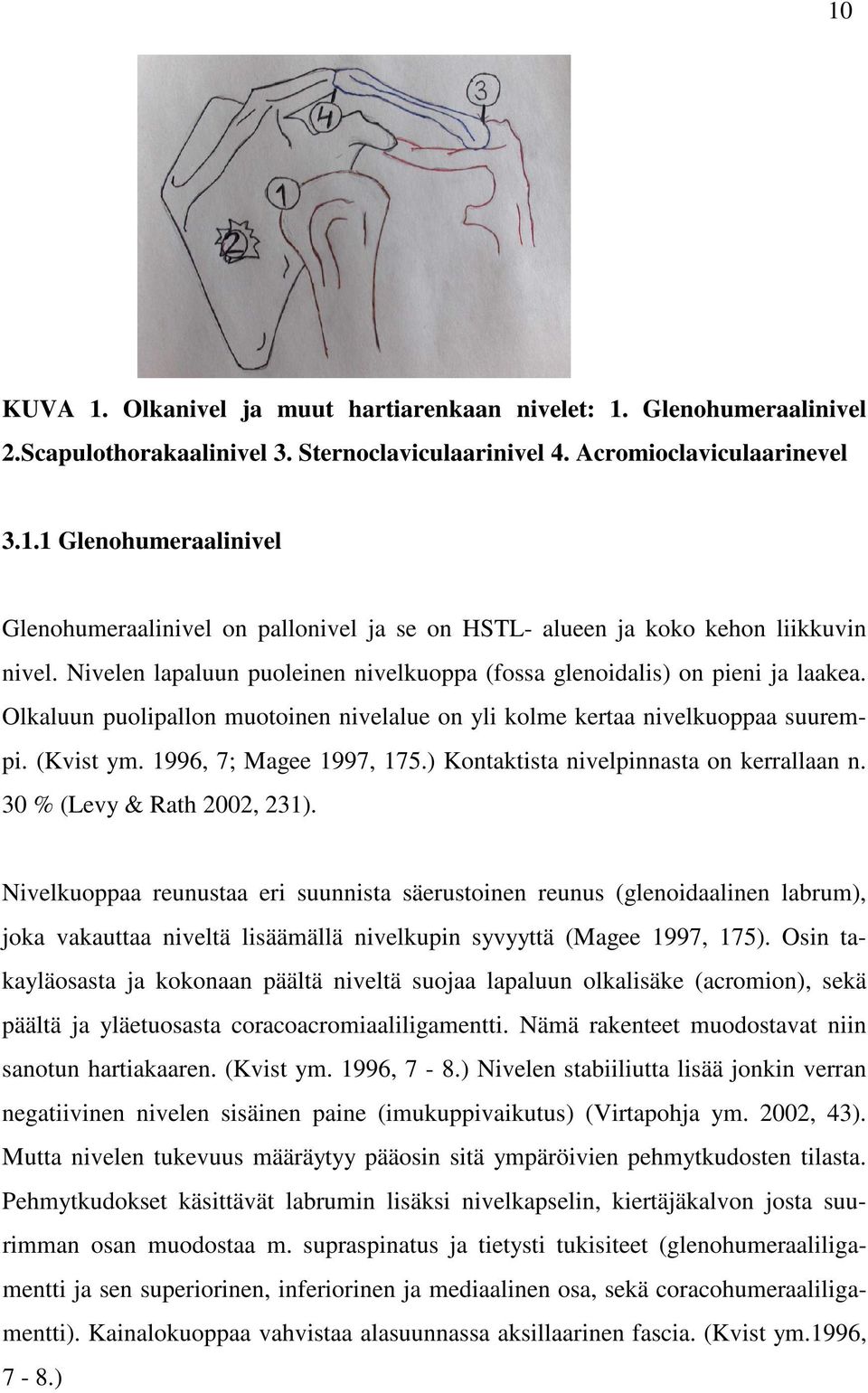 ) Kontaktista nivelpinnasta on kerrallaan n. 30 % (Levy & Rath 2002, 231).