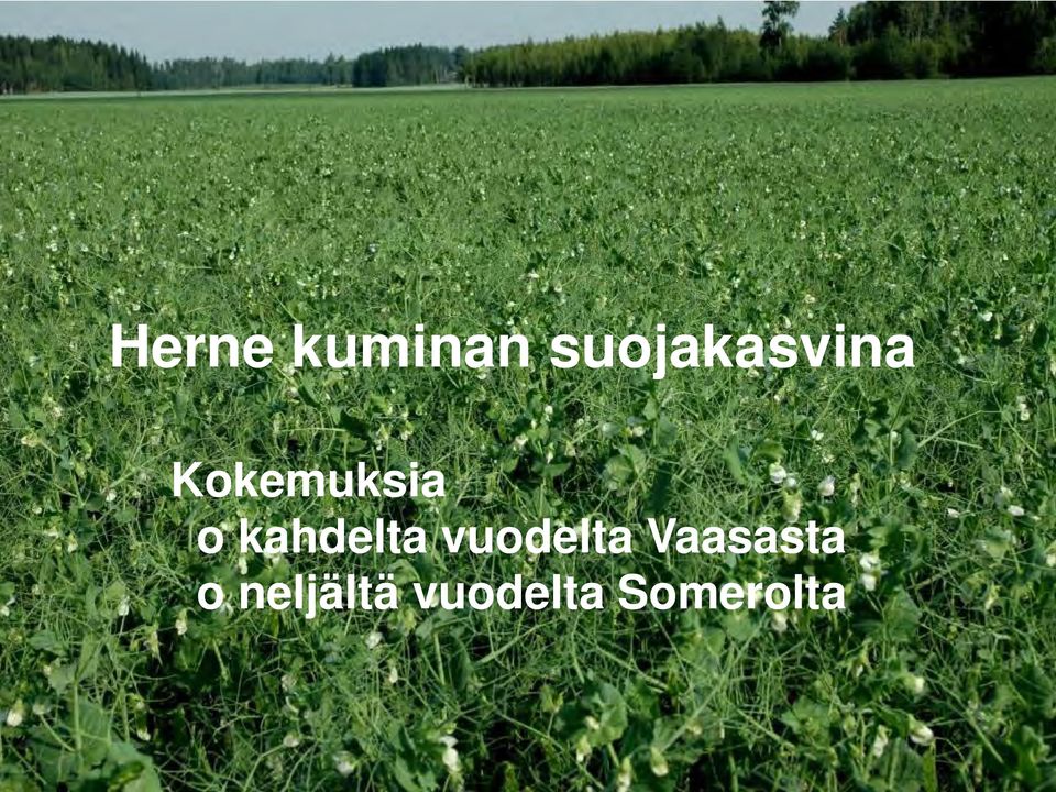 Vaasasta o neljältä vuodelta