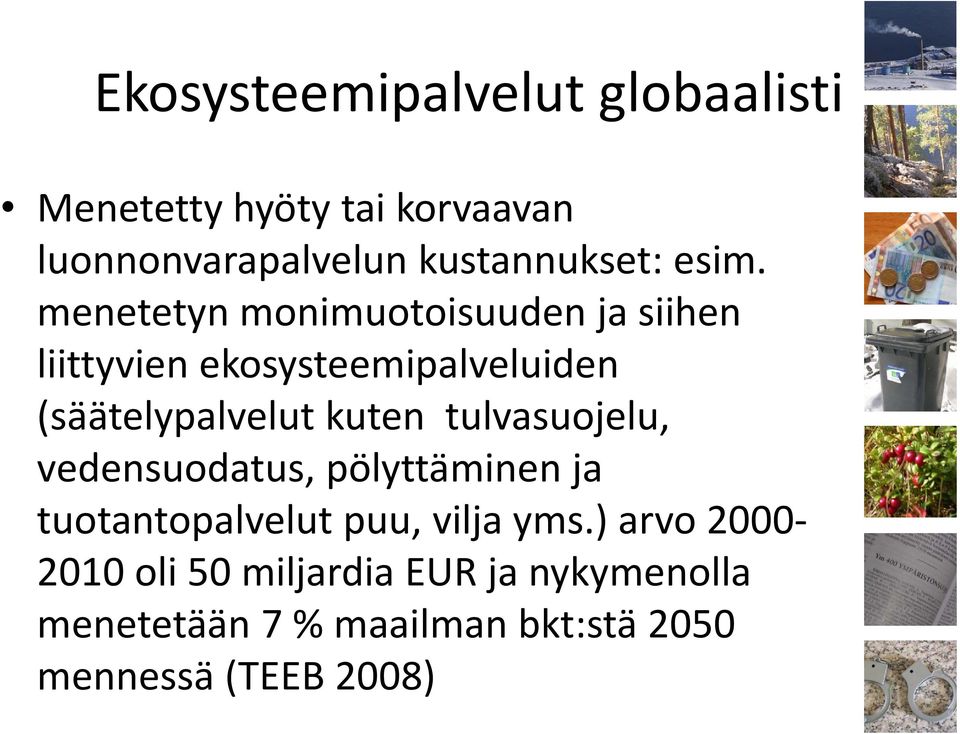 kuten tulvasuojelu, vedensuodatus, d pölyttäminen ja tuotantopalvelut puu, vilja yms.