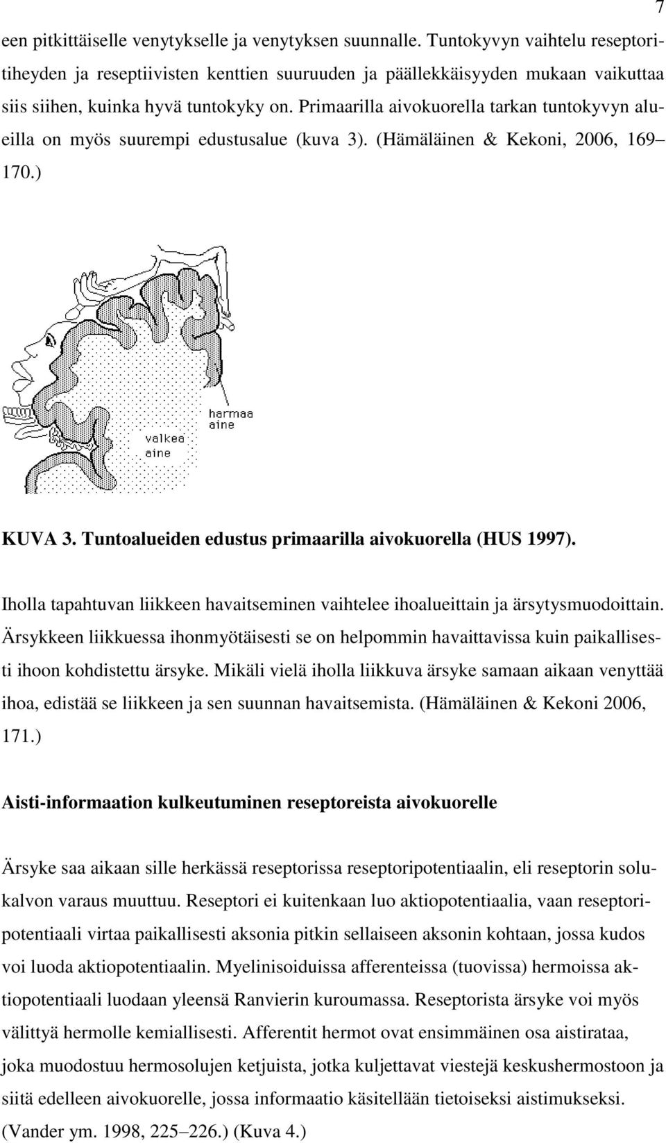 Primaarilla aivokuorella tarkan tuntokyvyn alueilla on myös suurempi edustusalue (kuva 3). (Hämäläinen & Kekoni, 2006, 169 170.) KUVA 3. Tuntoalueiden edustus primaarilla aivokuorella (HUS 1997).