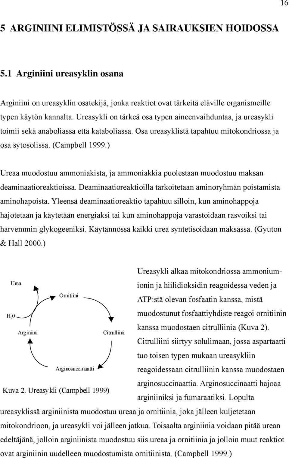 ) Ureaa muodostuu ammoniakista, ja ammoniakkia puolestaan muodostuu maksan deaminaatioreaktioissa. Deaminaatioreaktioilla tarkoitetaan aminoryhmän poistamista aminohapoista.