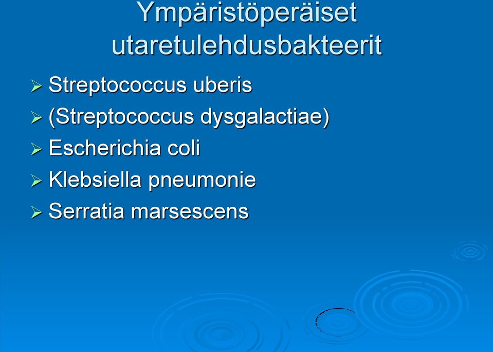 uberis (Streptococcus dysgalactiae)