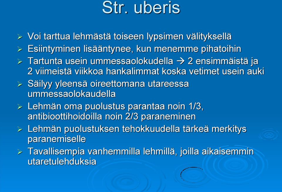 oireettomana utareessa ummessaolokaudella Lehmän oma puolustus parantaa noin 1/3, antibioottihoidoilla noin 2/3 paraneminen