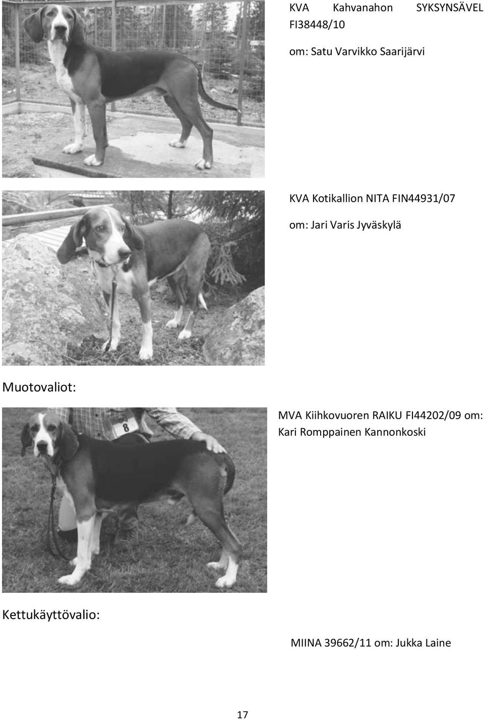 Jyväskylä Muotovaliot: MVA Kiihkovuoren RAIKU FI44202/09 om: