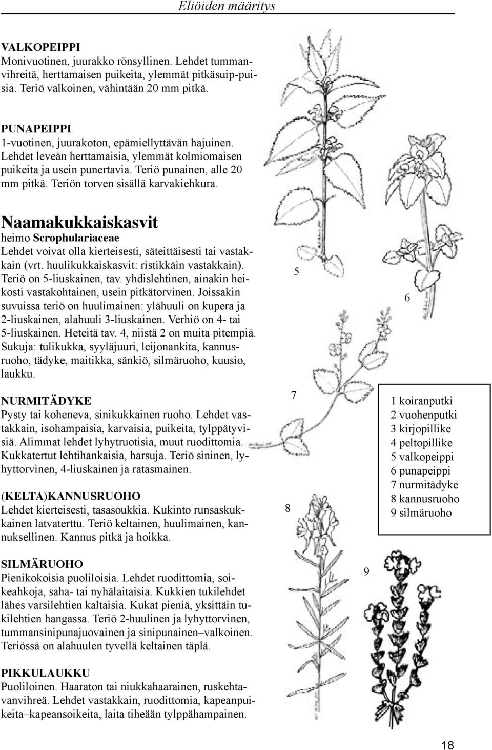 Teriön torven sisällä karvakiehkura. Naamakukkaiskasvit heimo Scrophulariaceae Lehdet voivat olla kierteisesti, säteittäisesti tai vastakkain (vrt. huulikukkaiskasvit: ristikkäin vastakkain).