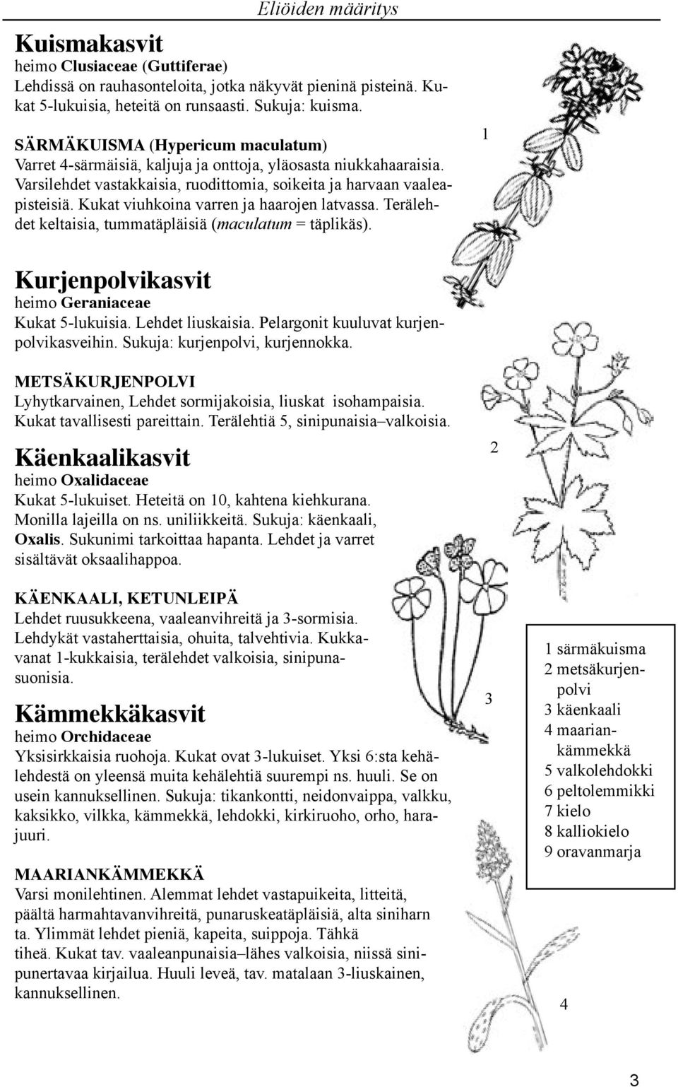 Kukat viuhkoina varren ja haarojen latvassa. Terälehdet keltaisia, tummatäpläisiä (maculatum = täplikäs). 1 Kurjenpolvikasvit heimo Geraniaceae Kukat 5-lukuisia. Lehdet liuskaisia.