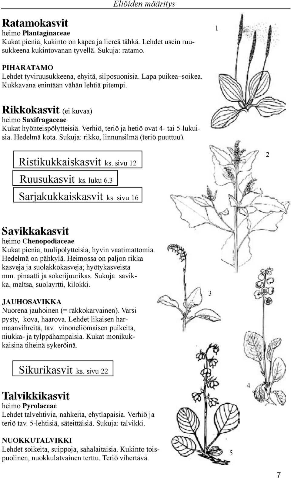 Verhiö, teriö ja hetiö ovat - tai 5-lukuisia. Hedelmä kota. Sukuja: rikko, linnunsilmä (teriö puuttuu). Ristikukkaiskasvit ks. sivu 1 Ruusukasvit ks. luku 6. Sarjakukkaiskasvit ks.