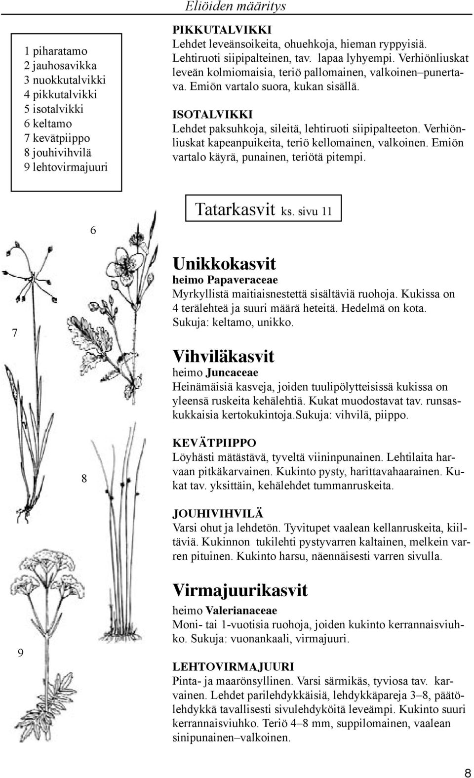 ISOTALVIKKI Lehdet paksuhkoja, sileitä, lehtiruoti siipipalteeton. Verhiönliuskat kapeanpuikeita, teriö kellomainen, valkoinen. Emiön vartalo käyrä, punainen, teriötä pitempi. 6 Tatarkasvit ks.