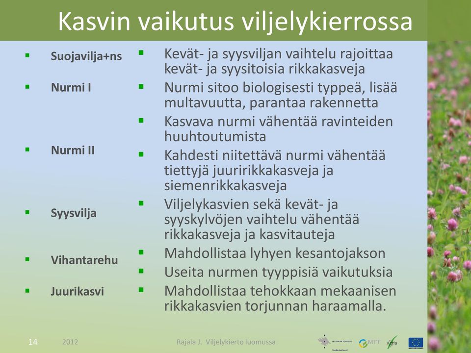 Kahdesti niitettävä nurmi vähentää tiettyjä juuririkkakasveja ja siemenrikkakasveja Viljelykasvien sekä kevät- ja syyskylvöjen vaihtelu vähentää