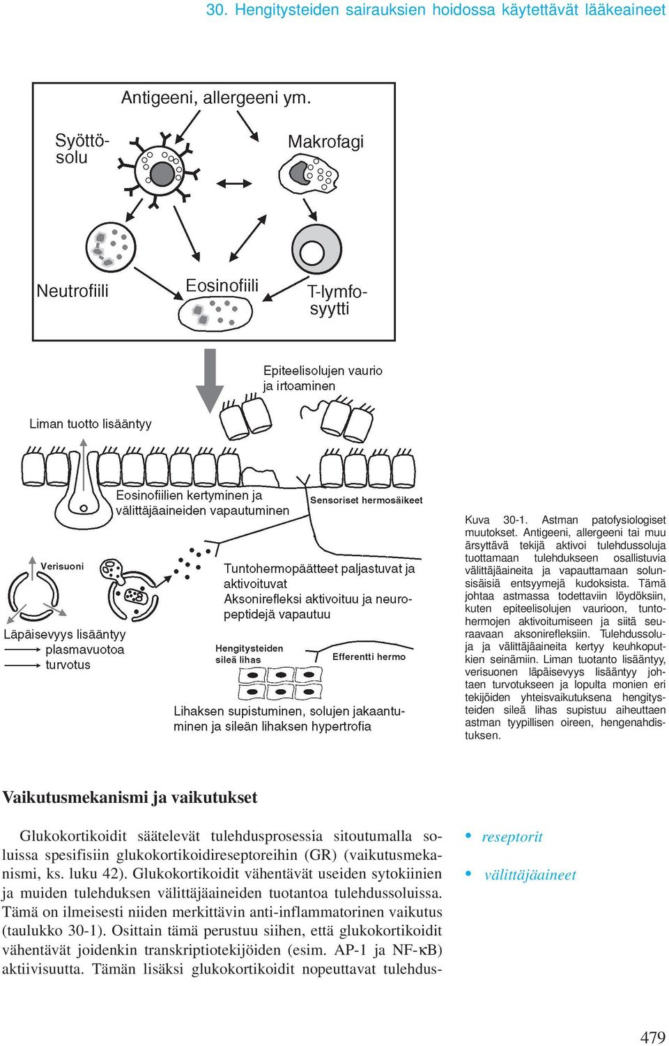 Tämä johtaa astmassa todettaviin löydöksiin, kuten epiteelisolujen vaurioon, tuntohermojen aktivoitumiseen ja siitä seuraavaan aksonirefleksiin.