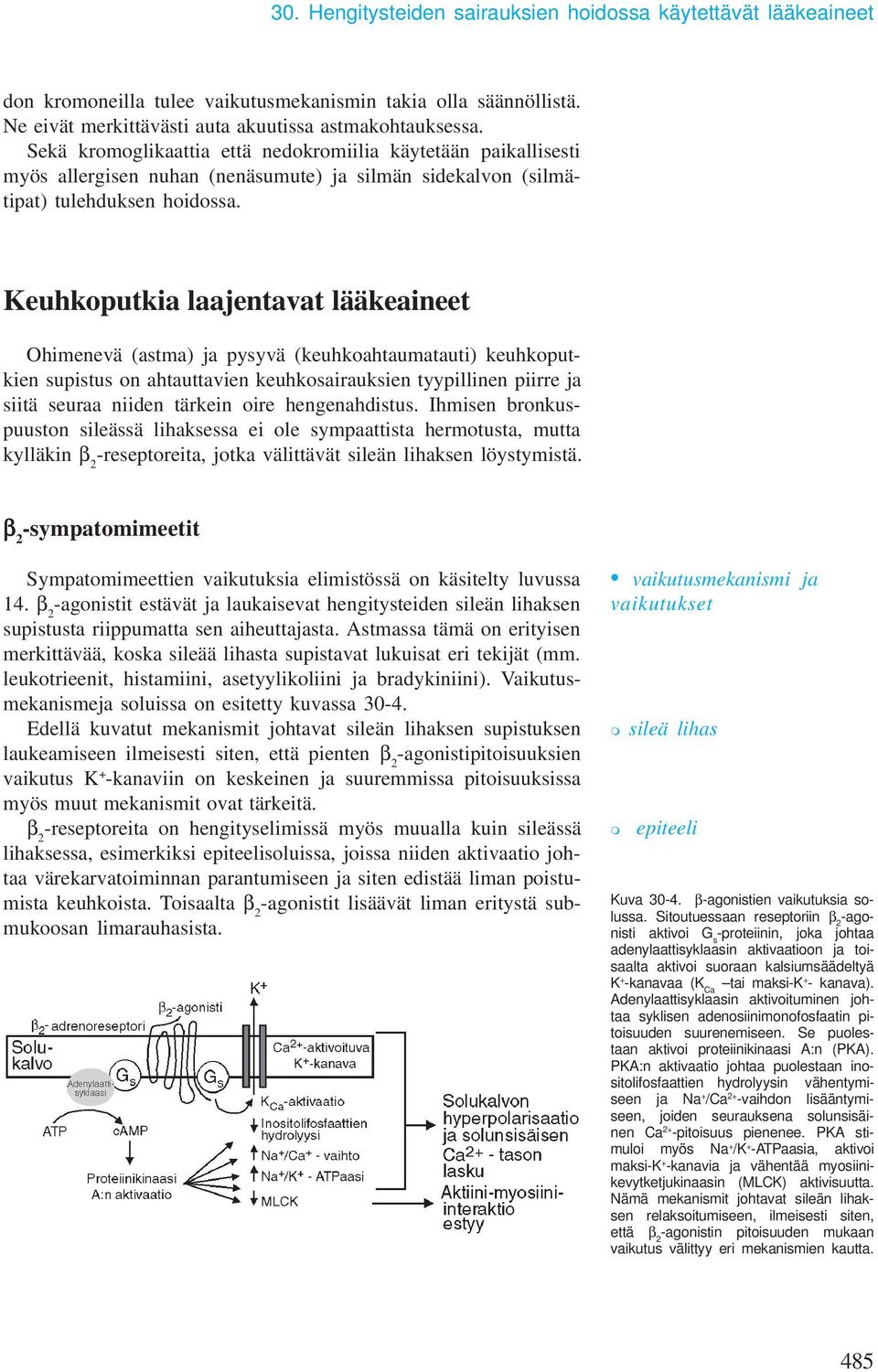 Keuhkoputkia laajentavat lääkeaineet Ohimenevä (astma) ja pysyvä (keuhkoahtaumatauti) keuhkoputkien supistus on ahtauttavien keuhkosairauksien tyypillinen piirre ja siitä seuraa niiden tärkein oire