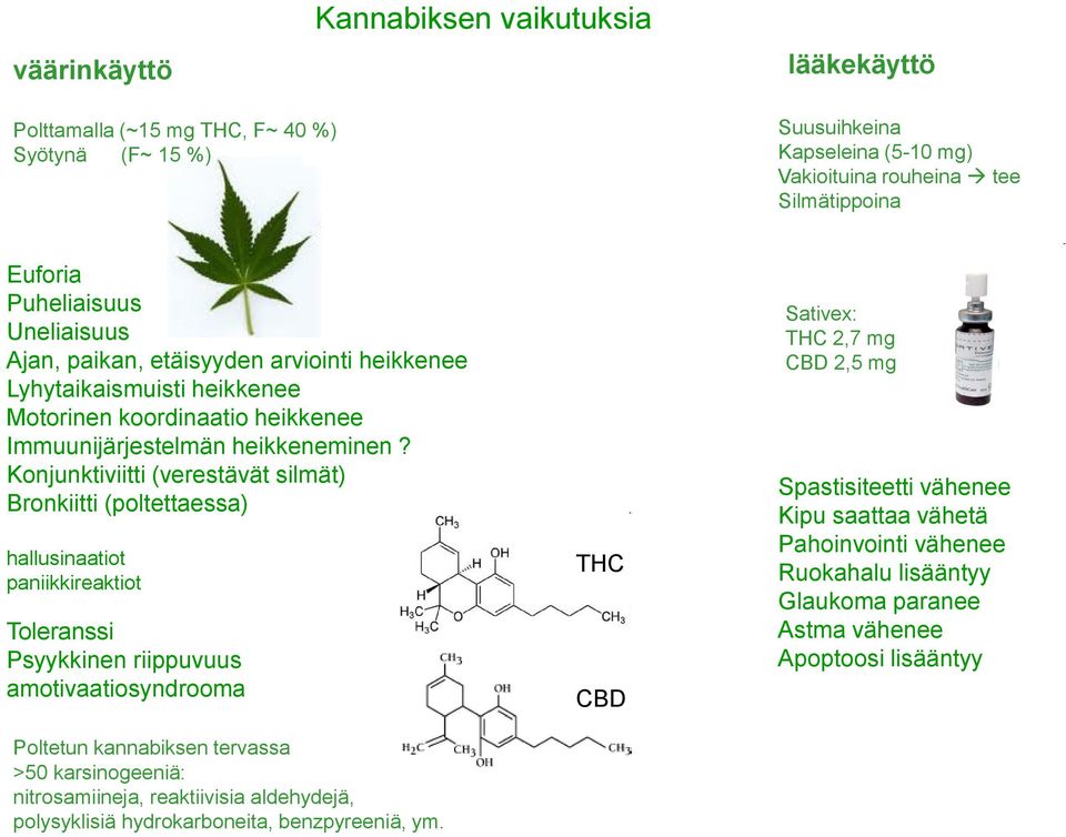 Konjunktiviitti (verestävät silmät) Bronkiitti (poltettaessa) hallusinaatiot paniikkireaktiot Toleranssi Psyykkinen riippuvuus amotivaatiosyndrooma Poltetun kannabiksen tervassa >50 karsinogeeniä: