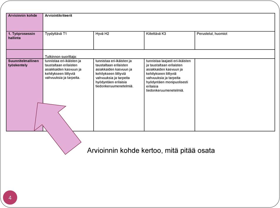 huomiot Suunnitelmallinen työskentely Tutkinnon suorittaja:.