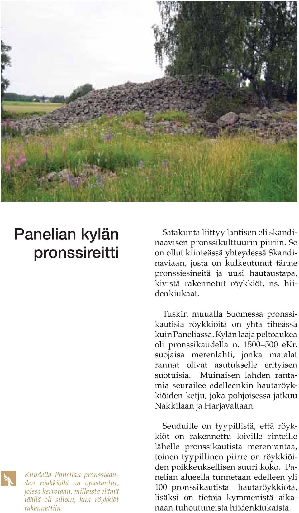 Tuskin muualla Suomessa pronssikautisia röykkiöitä on yhtä tiheässä kuin Paneliassa. Kylän laaja peltoaukea oli pronssikaudella n. 1500 500 ekr.
