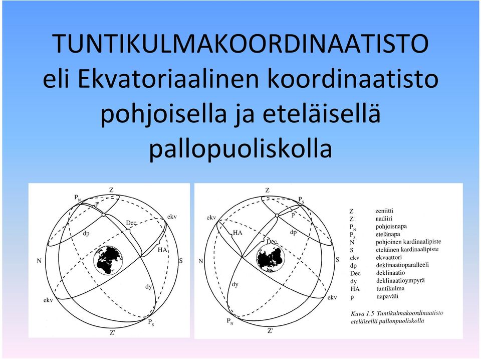 koordinaatisto