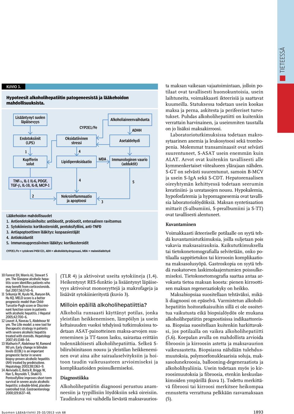 apoptoosi MDA Lääkehoidon mahdollisuudet 1. Antiendotoksiinihoito: antibiootit, probiootit, enteraalinen ravitsemus 2. Sytokiiniesto: kortikosteroidit, pentoksifylliini, anti-tnfα 3.