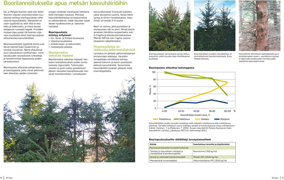 Arvioiden mukaan jopa puolet Itä-Suomen viljavista kuusikoista kärsii boorinpuutoksen aiheuttamista kasvuhäiriöistä.