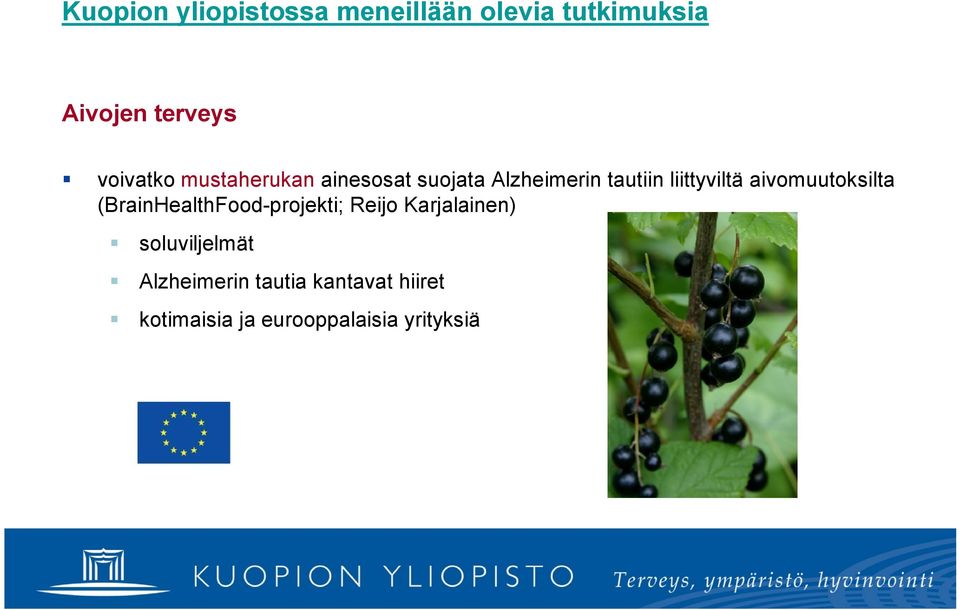 aivomuutoksilta (BrainHealthFood projekti; Reijo Karjalainen)