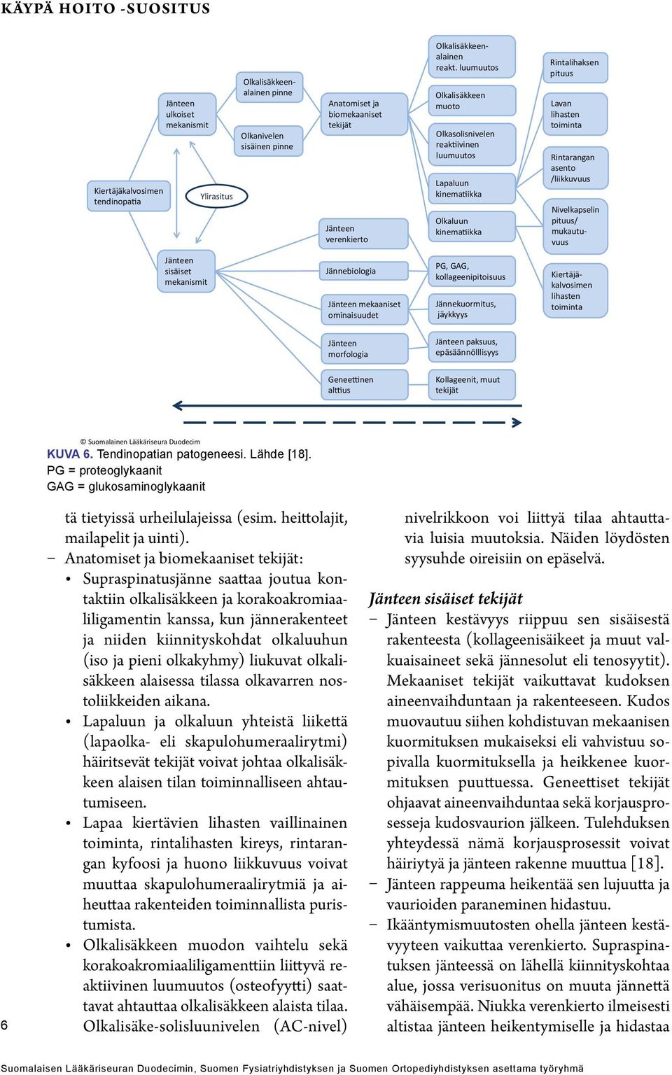 luumuutos Olkalisäkkeen muoto Olkasolisnivelen reaktiivinen luumuutos Lapaluun kinematiikka Olkaluun kinematiikka Rintalihaksen pituus Lavan lihasten toiminta Rintarangan asento /liikkuvuus