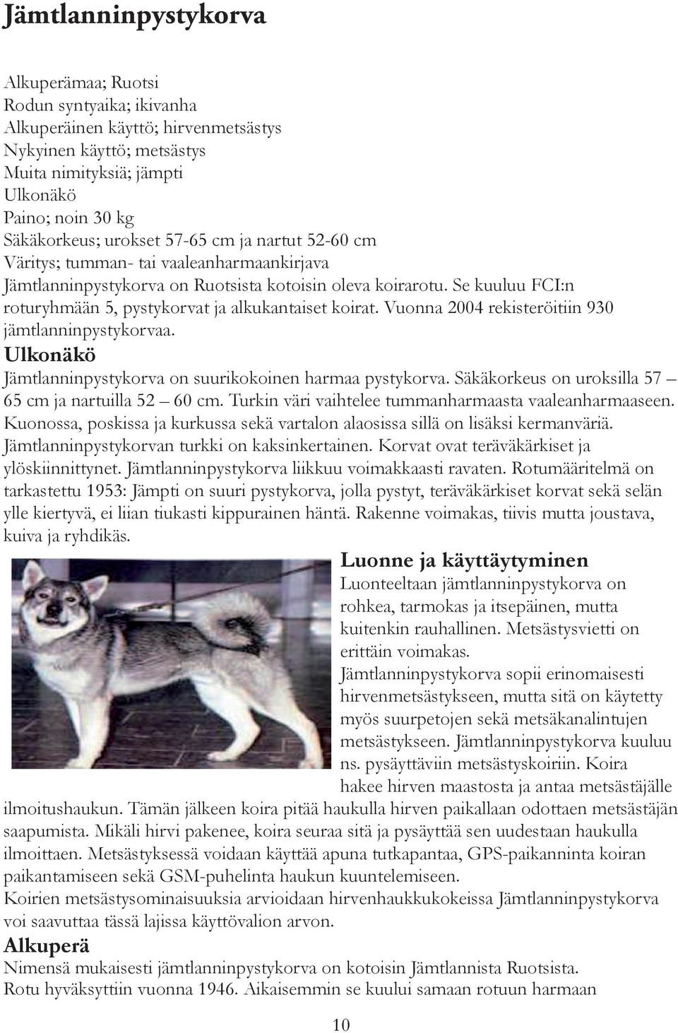 Se kuuluu FCI:n roturyhmään 5, pystykorvat ja alkukantaiset koirat. Vuonna 2004 rekisteröitiin 930 jämtlanninpystykorvaa. Ulkonäkö Jämtlanninpystykorva on suurikokoinen harmaa pystykorva.