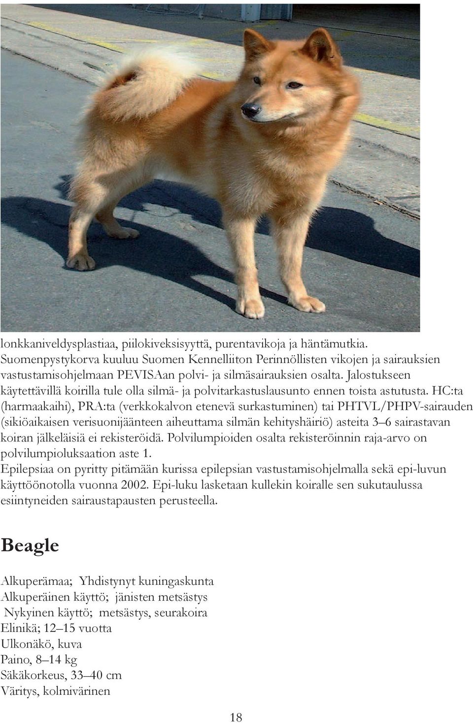 Jalostukseen käytettävillä koirilla tule olla silmä- ja polvitarkastuslausunto ennen toista astutusta.