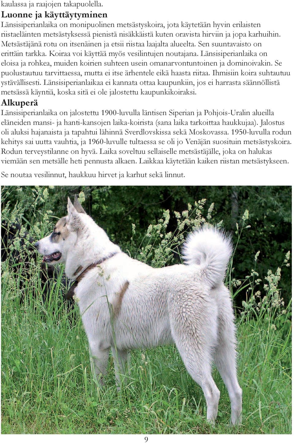 Metsästäjänä rotu on itsenäinen ja etsii riistaa laajalta alueelta. Sen suuntavaisto on erittäin tarkka. Koiraa voi käyttää myös vesilintujen noutajana.