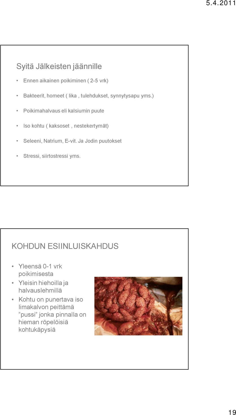 Ja Jodin puutokset Stressi, siirtostressi yms.