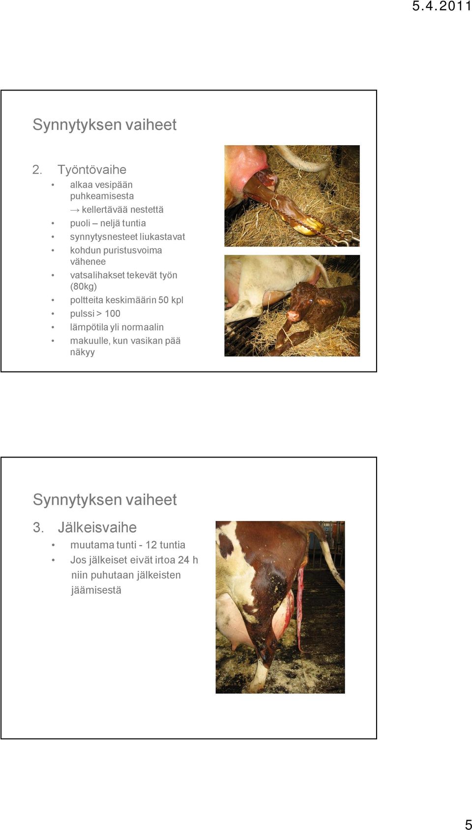 liukastavat kohdun puristusvoima vähenee vatsalihakset tekevät työn (80kg) poltteita keskimäärin 50 kpl