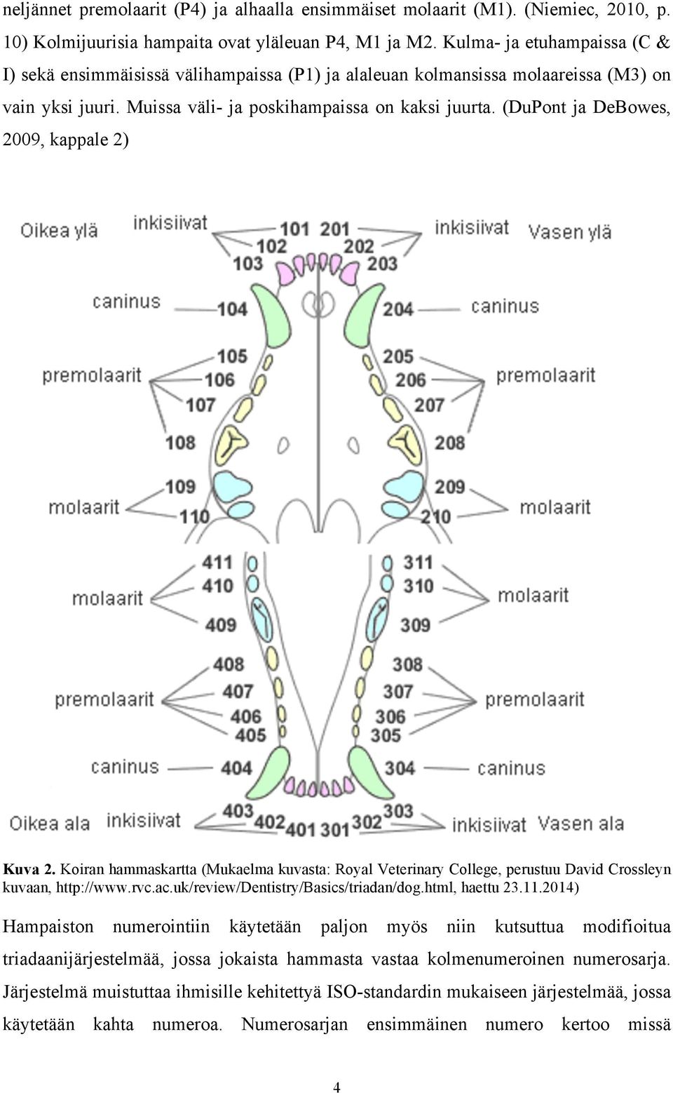 (DuPont ja DeBowes, 2009, kappale 2) Kuva 2. Koiran hammaskartta (Mukaelma kuvasta: Royal Veterinary College, perustuu David Crossleyn kuvaan, http://www.rvc.ac.uk/review/dentistry/basics/triadan/dog.