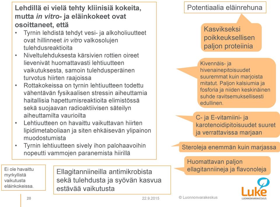 lehtiuutteen todettu vähentävän fysikaalisen stressin aiheuttamia haitallisia hapettumisreaktioita elimistössä sekä suojaavan radioaktiivisen säteilyn aiheuttamilta vaurioilta Lehtiuutteen on