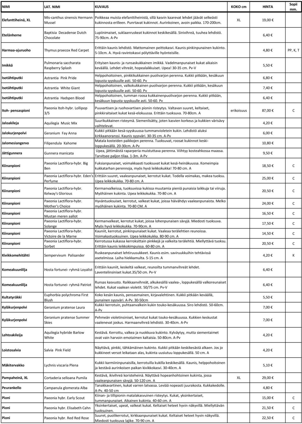 A-Pv 6,40 Harmaa-ajuruoho Thymus praecox Red Carpet Erittäin kaunis lehdistö. Mattomainen peittokasvi. Kaunis pinkinpunainen kukinto. 5-10cm. A. Hyvä ravintokasvi pölyttäville hyönteisille.