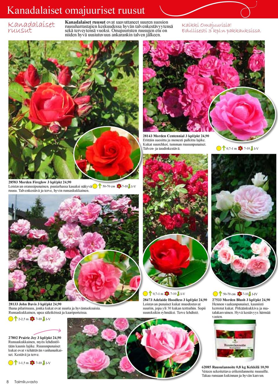 28143 Morden Centennial 3 kpl/pkt 24,90 Erittäin suosittu ja monesti palkittu lajike. Kukat suurehkot, tumman ruusunpunaiset. Talven- ja taudinkestävä.
