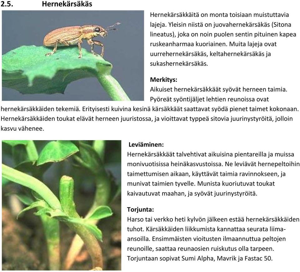 Erityisesti kuivina kesinä kärsäkkäät saattavat syödä pienet taimet kokonaan. Hernekärsäkkäiden toukat elävät herneen juuristossa, ja vioittavat typpeä sitovia juurinystyröitä, jolloin kasvu vähenee.