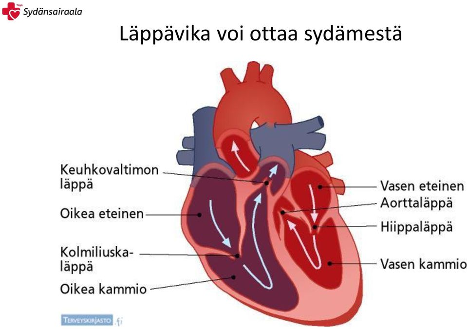 sydämestä