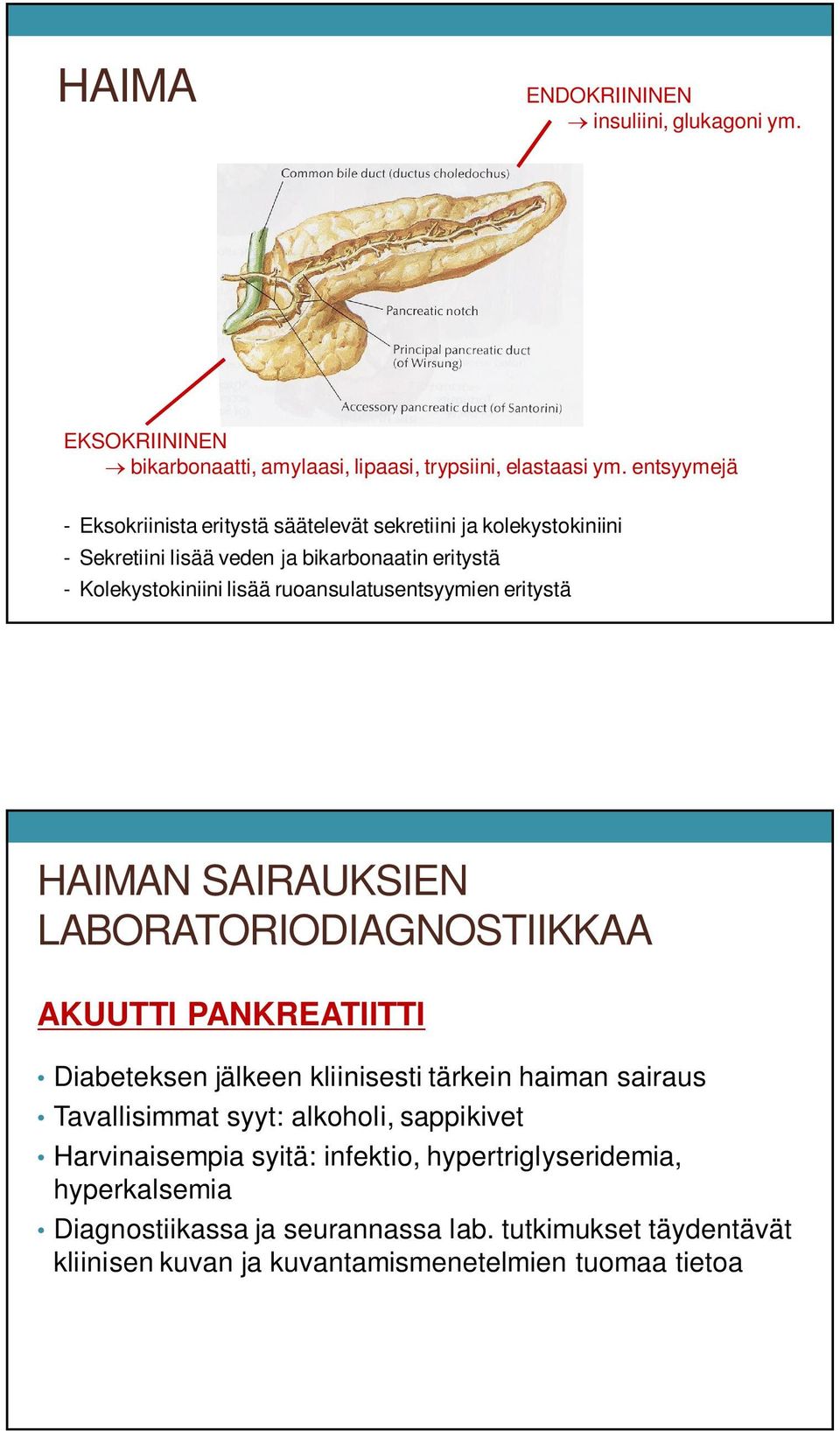 ruoansulatusentsyymien eritystä HAIMAN SAIRAUKSIEN LABORATORIODIAGNOSTIIKKAA AKUUTTI PANKREATIITTI Diabeteksen jälkeen kliinisesti tärkein haiman sairaus