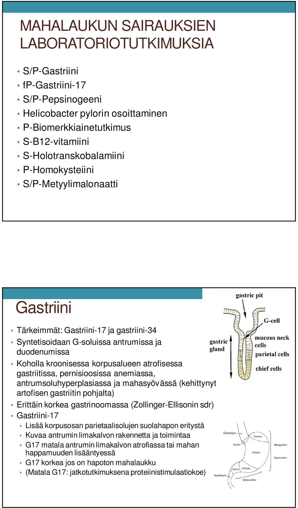 gastriitissa, pernisioosissa anemiassa, antrumsoluhyperplasiassa ja mahasyövässä (kehittynyt artofisen gastriitin pohjalta) Erittäin korkea gastrinoomassa (Zollinger-Ellisonin sdr) Gastriini-17 Lisää