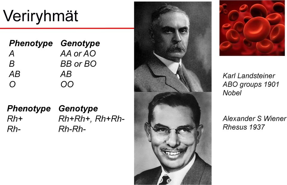 Rh+Rh+, Rh+Rh- Rh-Rh- Karl Landsteiner ABO