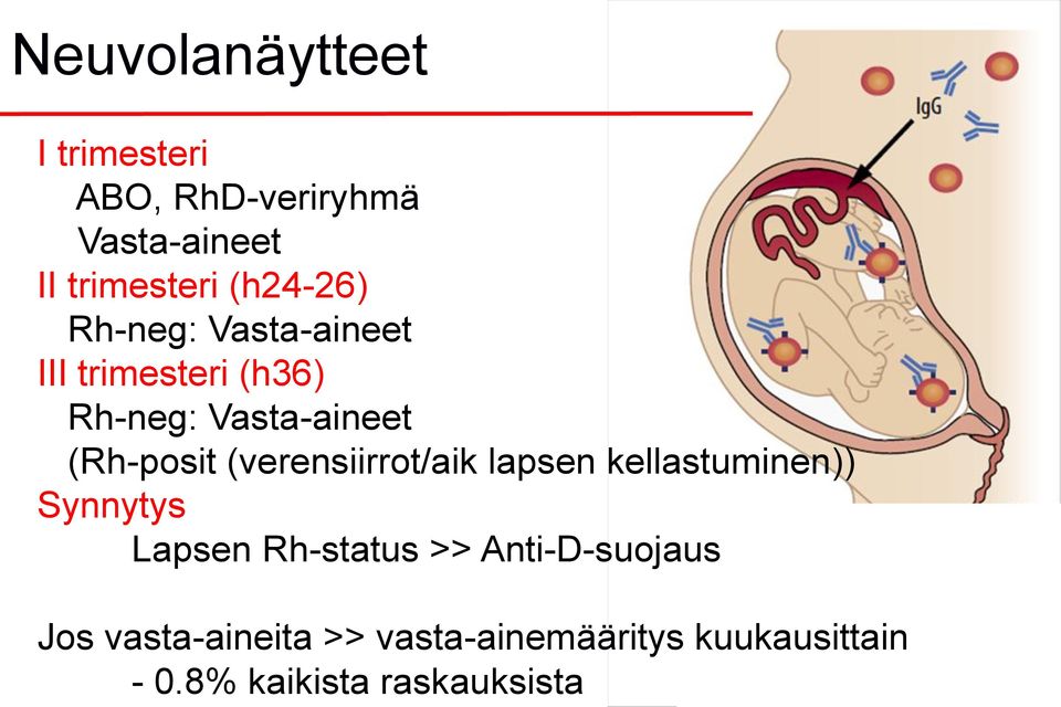 Vasta-aineet II trimesteri (h24-26) Rh-neg: Vasta-aineet III trimesteri (h36)