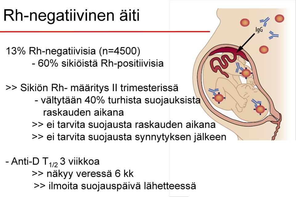 aikana >> ei tarvita suojausta raskauden aikana >> ei tarvita suojausta synnytyksen