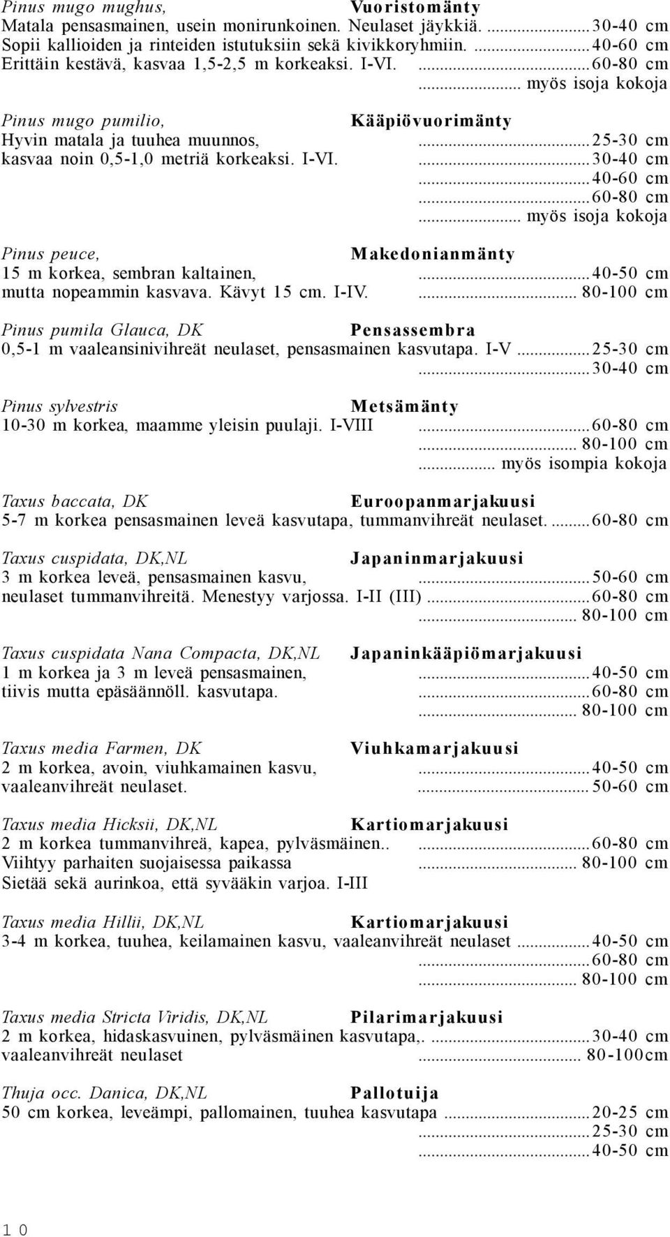 ..25-30 cm...30-40 cm...40-60 cm...60-80 cm... myös isoja kokoja Pinus peuce, Makedonianmänty 15 m korkea, sembran kaltainen,...40-50 cm mutta nopeammin kasvava. Kävyt 15 cm. I-IV.