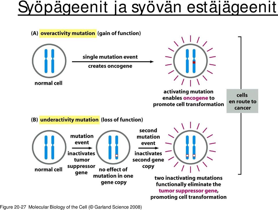 Molecular Biology of the