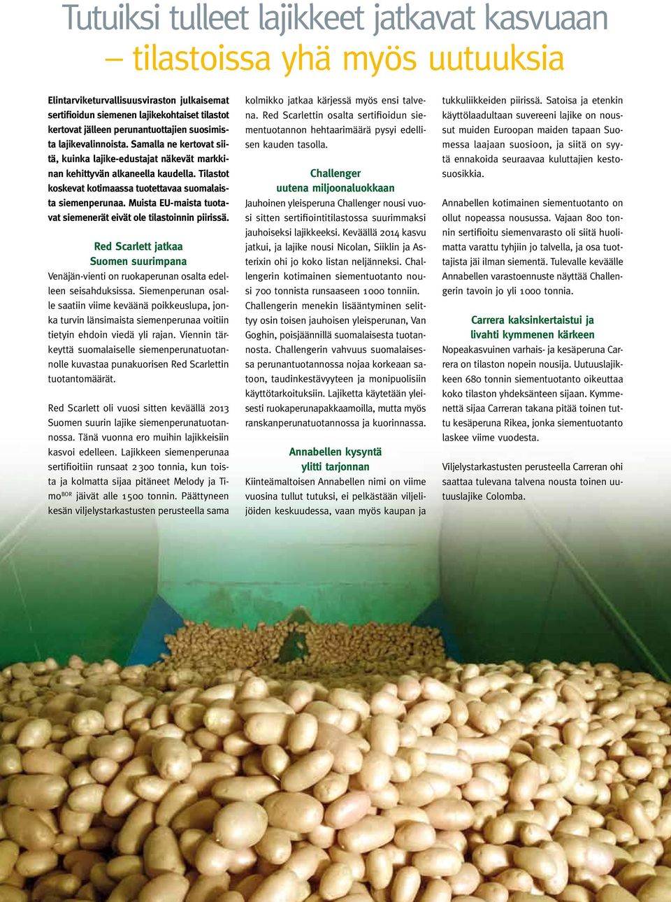 Tilastot koskevat kotimaassa tuotettavaa suomalaista siemenperunaa. Muista EU-maista tuotavat siemenerät eivät ole tilastoinnin piirissä.