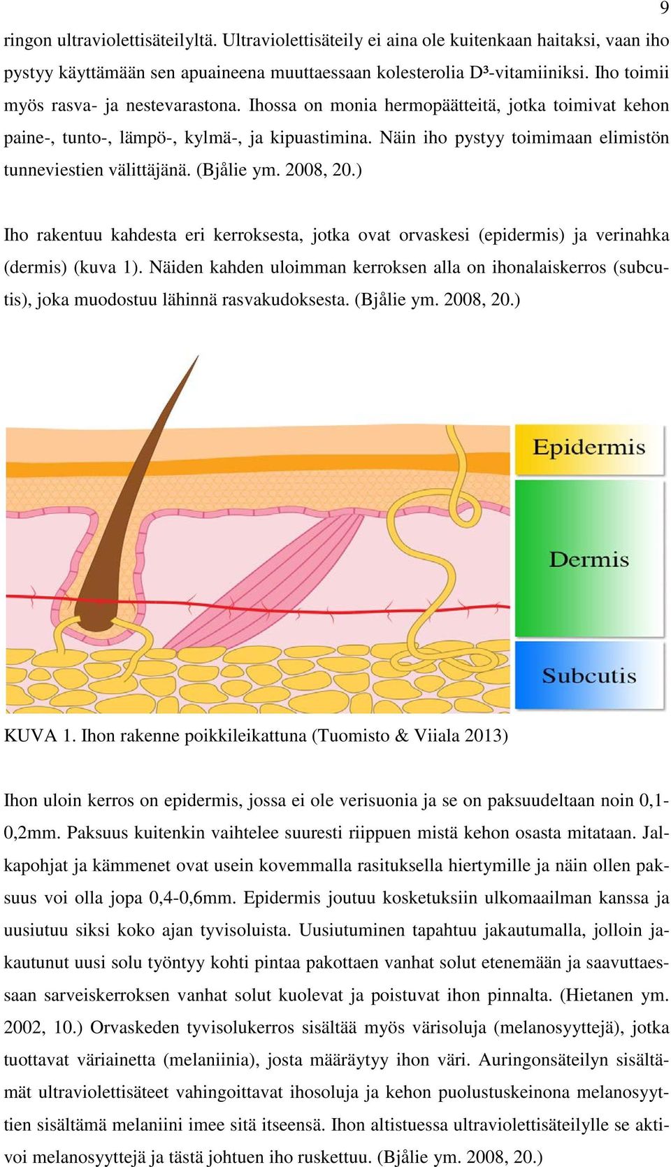 Näin iho pystyy toimimaan elimistön tunneviestien välittäjänä. (Bjålie ym. 2008, 20.) Iho rakentuu kahdesta eri kerroksesta, jotka ovat orvaskesi (epidermis) ja verinahka (dermis) (kuva 1).