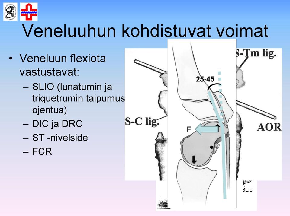 (lunatumin ja triquetrumin taipumus