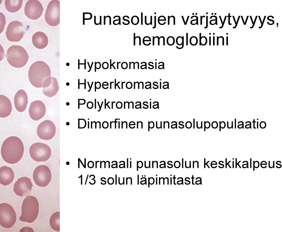 Dimorfinen punasolupopulaatio Normaali