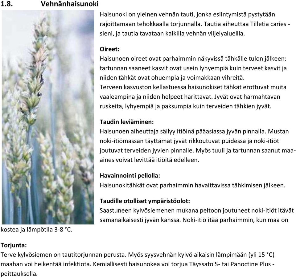 Haisunoen oireet ovat parhaimmin näkyvissä tähkälle tulon jälkeen: tartunnan saaneet kasvit ovat usein lyhyempiä kuin terveet kasvit ja niiden tähkät ovat ohuempia ja voimakkaan vihreitä.