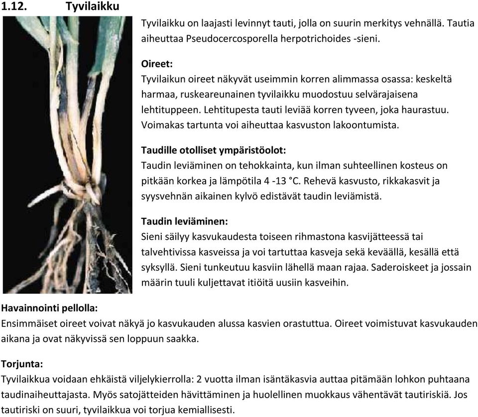 Voimakas tartunta voi aiheuttaa kasvuston lakoontumista. Taudille otolliset ympäristöolot: Taudin leviäminen on tehokkainta, kun ilman suhteellinen kosteus on pitkään korkea ja lämpötila 4-13 C.