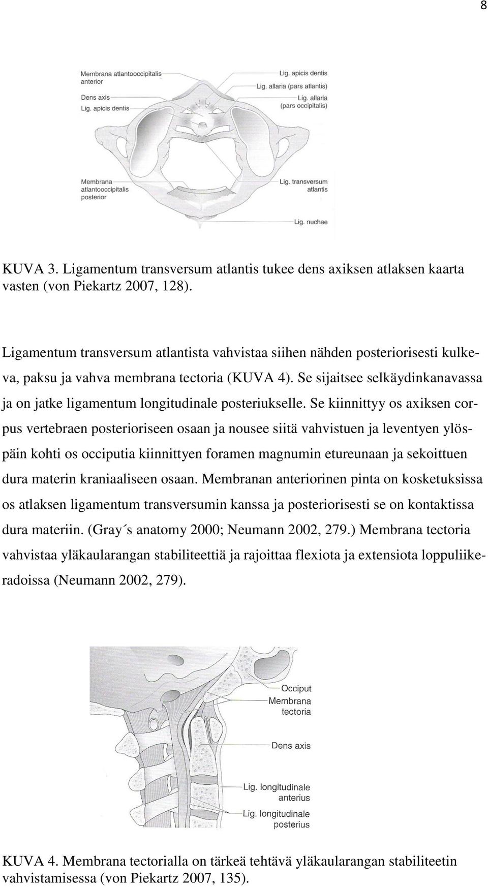 Se sijaitsee selkäydinkanavassa ja on jatke ligamentum longitudinale posteriukselle.