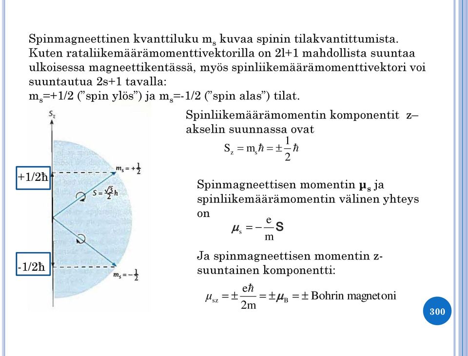 voi suuntautua 2s+1 tavalla: m s =+1/2 ( spin ylös ) ja m s =-1/2 ( spin alas ) tilat.