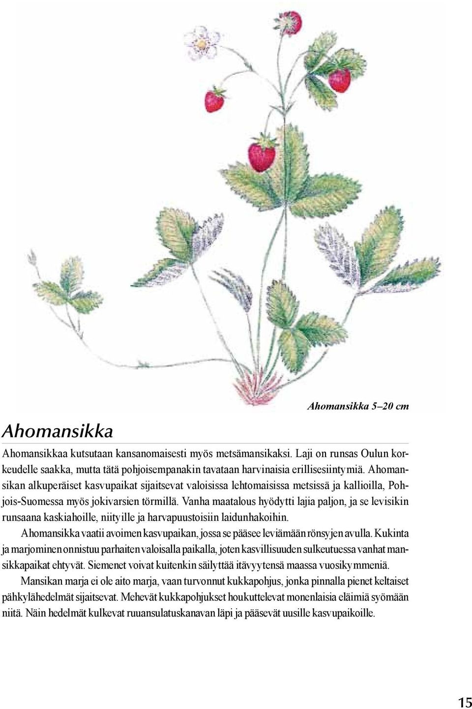 Ahomansikan alkuperäiset kasvupaikat sijaitsevat valoisissa lehtomaisissa metsissä ja kallioilla, Pohjois-Suomessa myös jokivarsien törmillä.